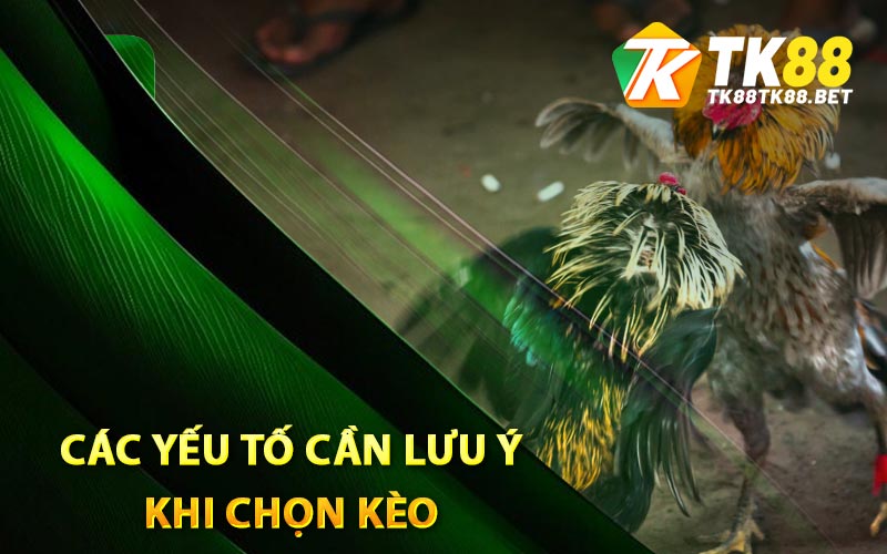 Các yếu tố cần lưu ý khi chọn kèo